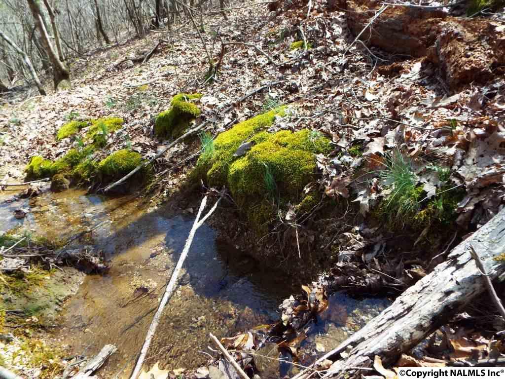 339a County Road 245 - Photo 1