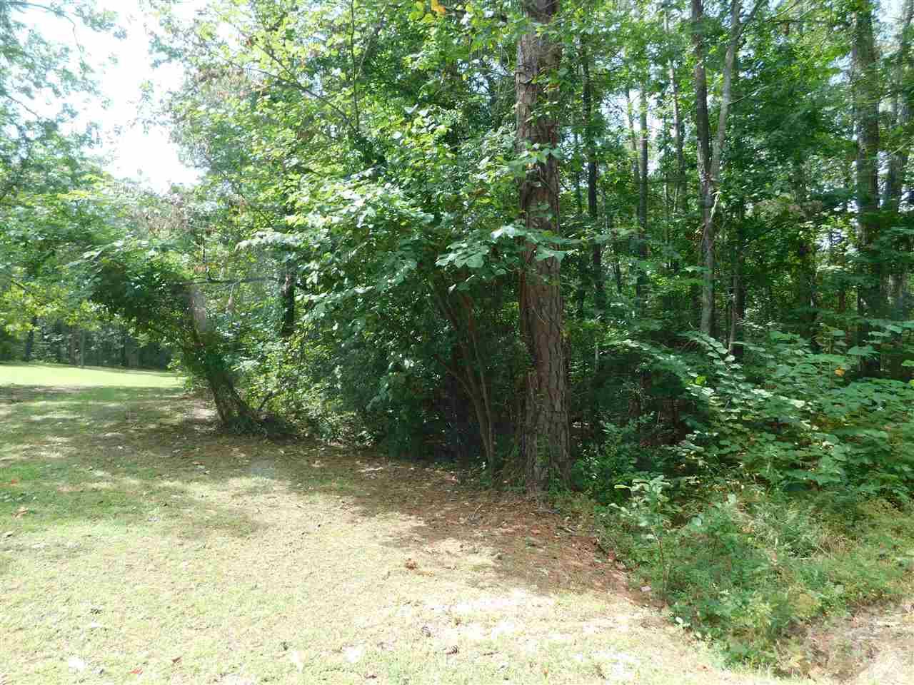 Lot 35 County Road 683 - Photo 1