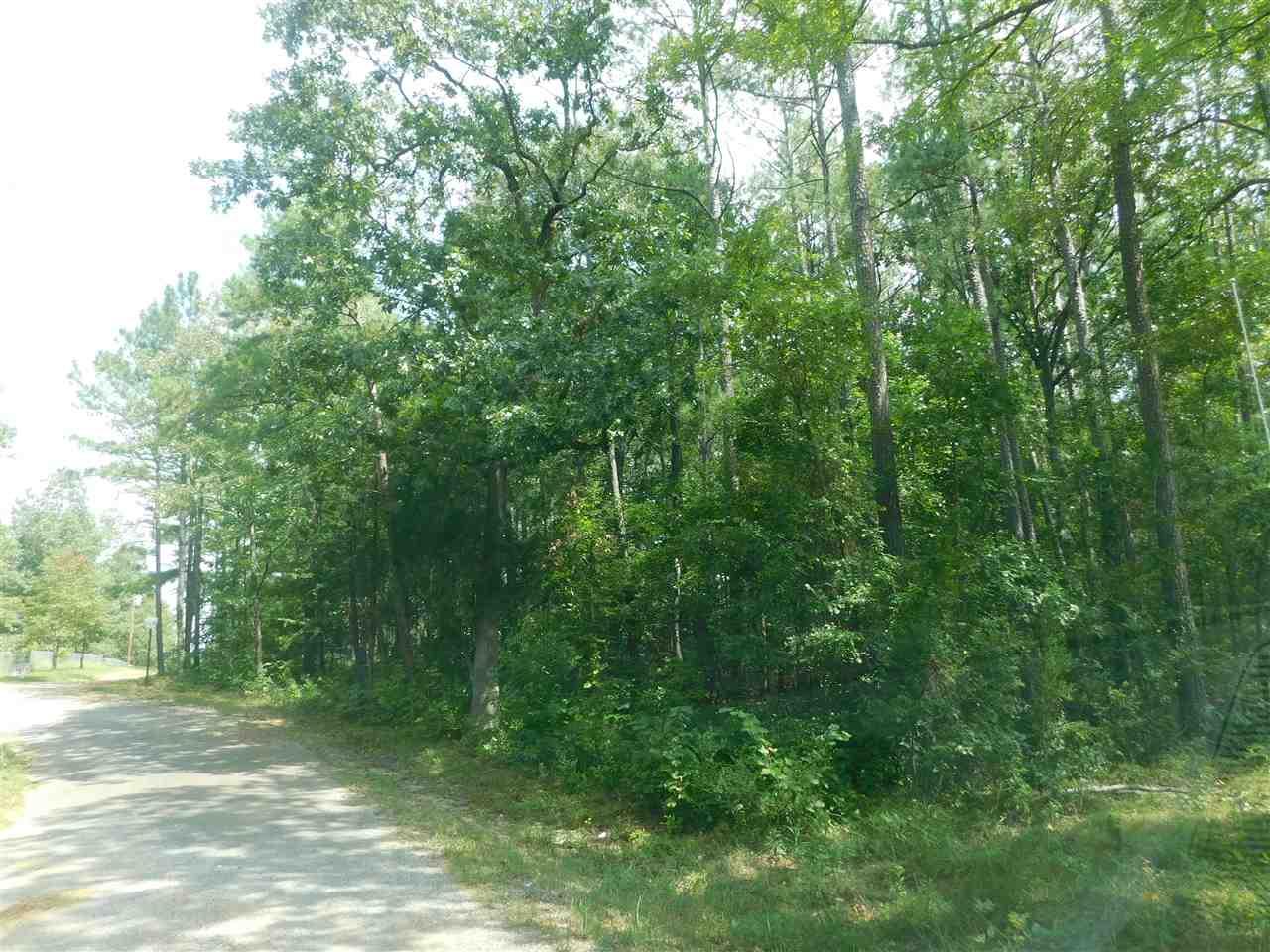 Lot 81 County Road 608 - Photo 1