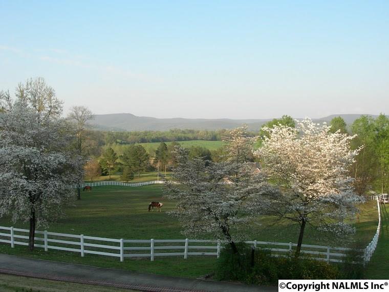 350 Berry Hollow Road - Photo 1