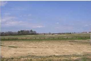 685 Cochran Avenue - Photo 1