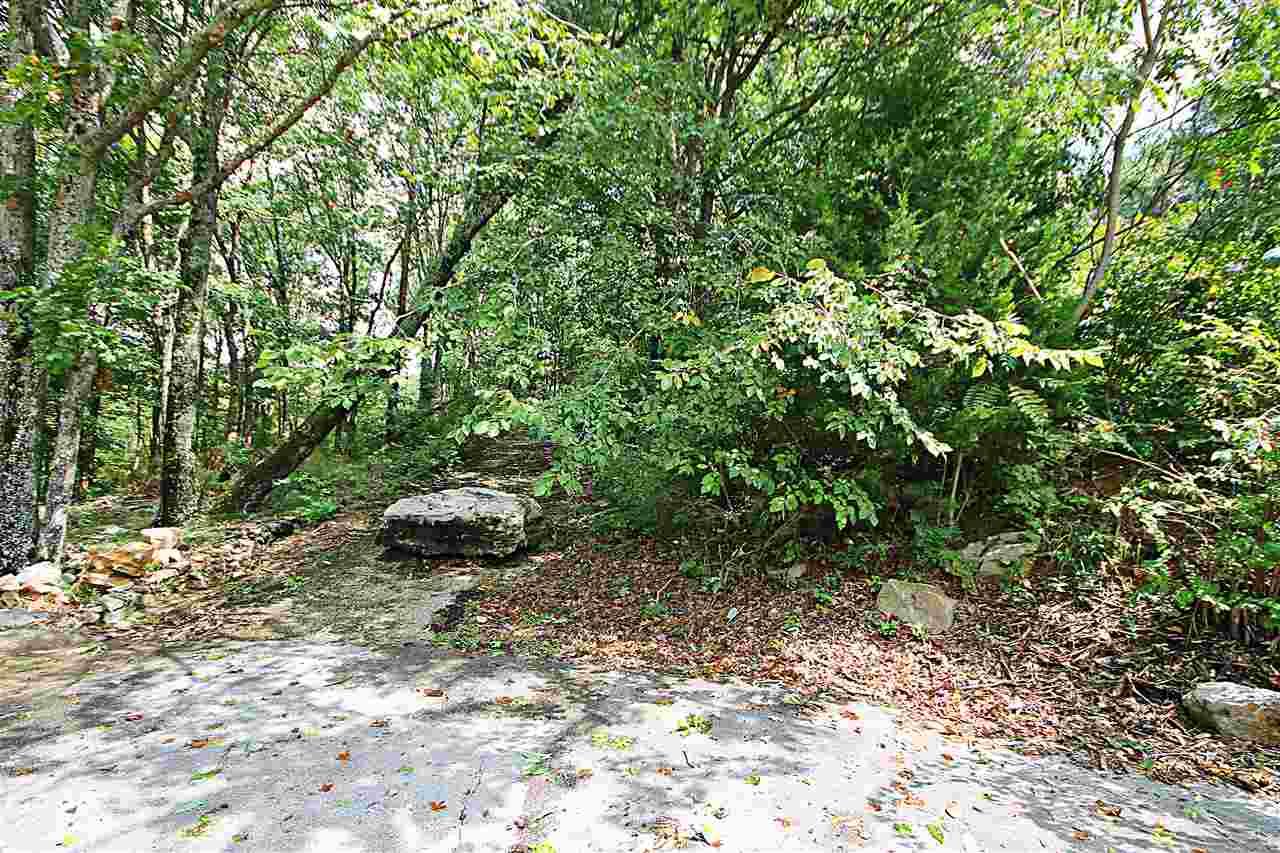2315 Big Cove Road - Photo 1