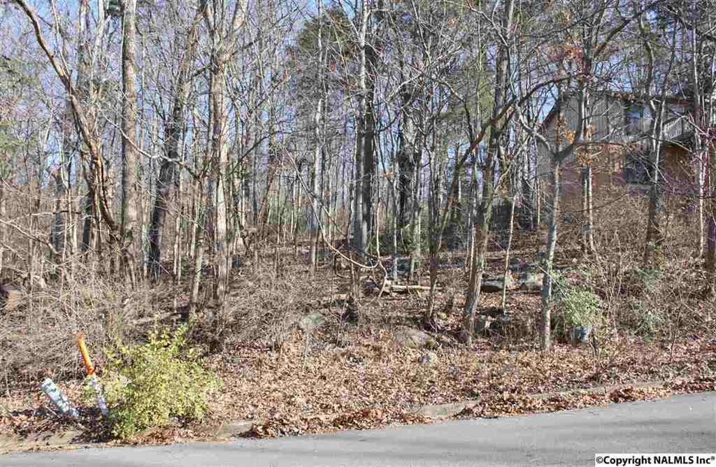 2108 Orba Drive - Photo 1