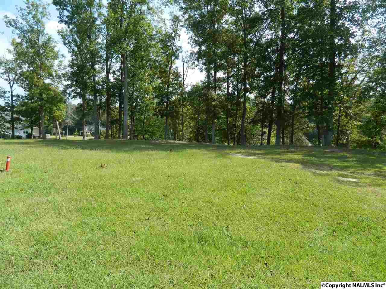 Lot3 River Run Road - Photo 1