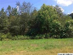 0 Hwy 207 - Photo 1