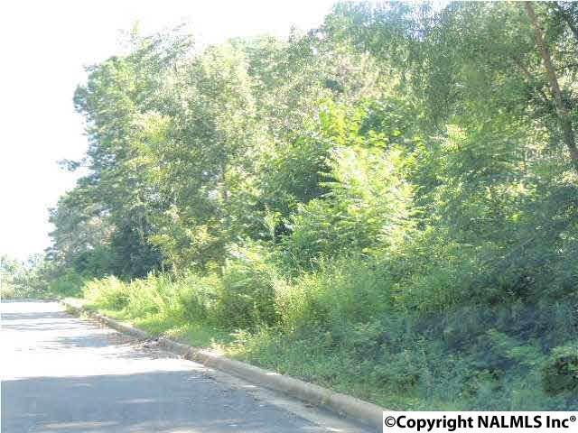 #19 Cade Circle - Photo 1