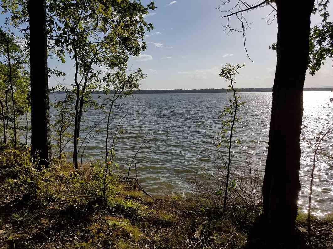 Tract 12 County Road 546 - Photo 1