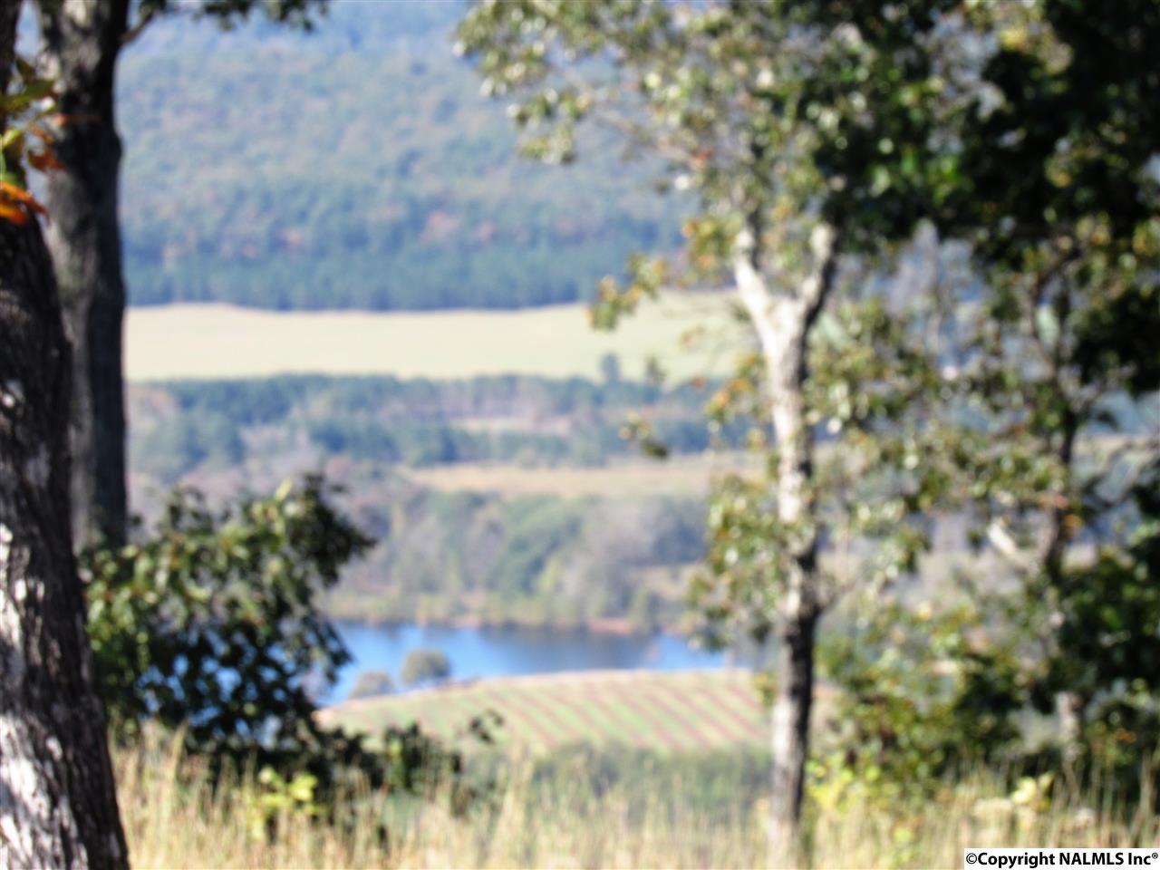 23349 County Road 89 - Photo 1