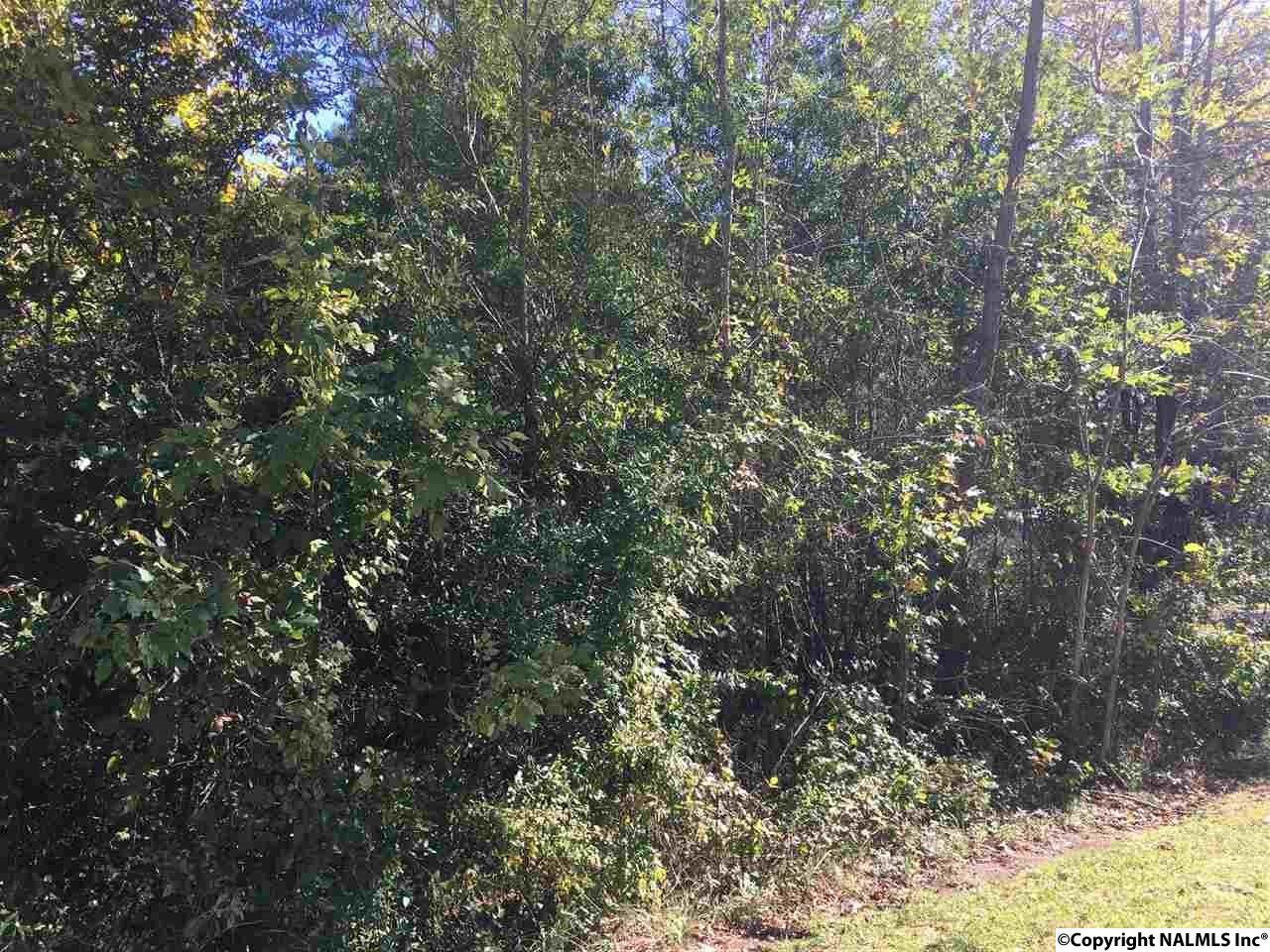 Lot 115 Hidden Cove Circle - Photo 1