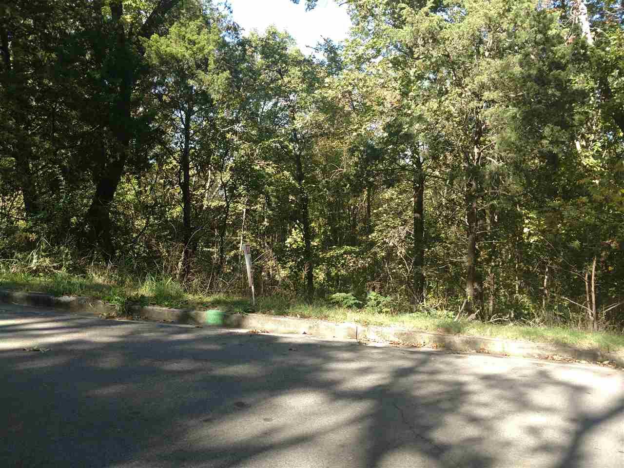 9989 Torino Drive - Photo 1
