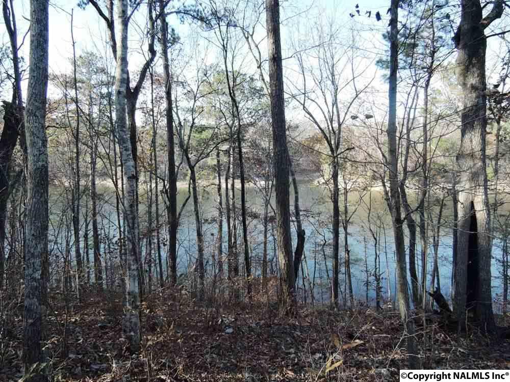 24 Rock Creek Penninsula - Photo 1