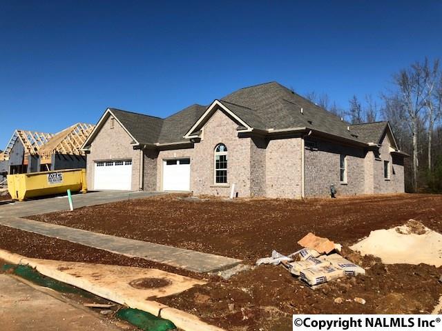 217 Narrow Creek Drive - Photo 1
