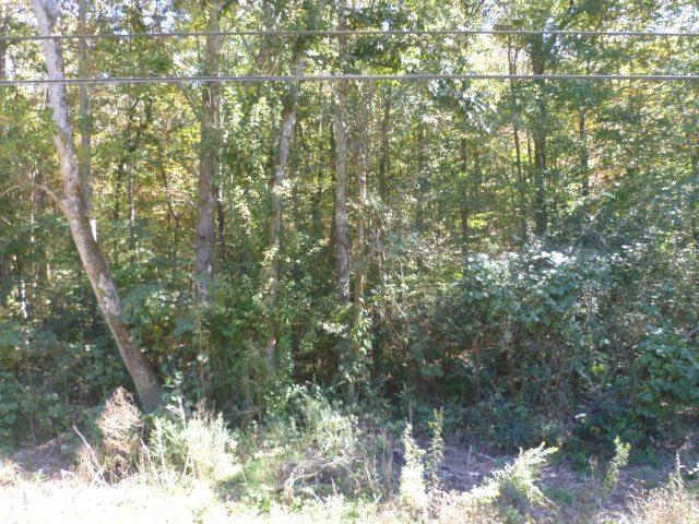 Lot 6 Long Hollow Circle - Photo 1