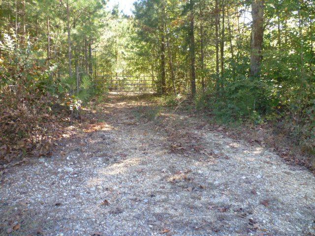 Lot 7 County Road 88 - Photo 1
