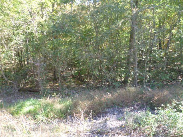 Lot 10 County Road 88 - Photo 1