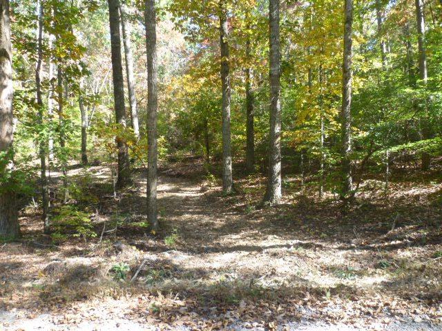 Lot 11 County Road 88 - Photo 1