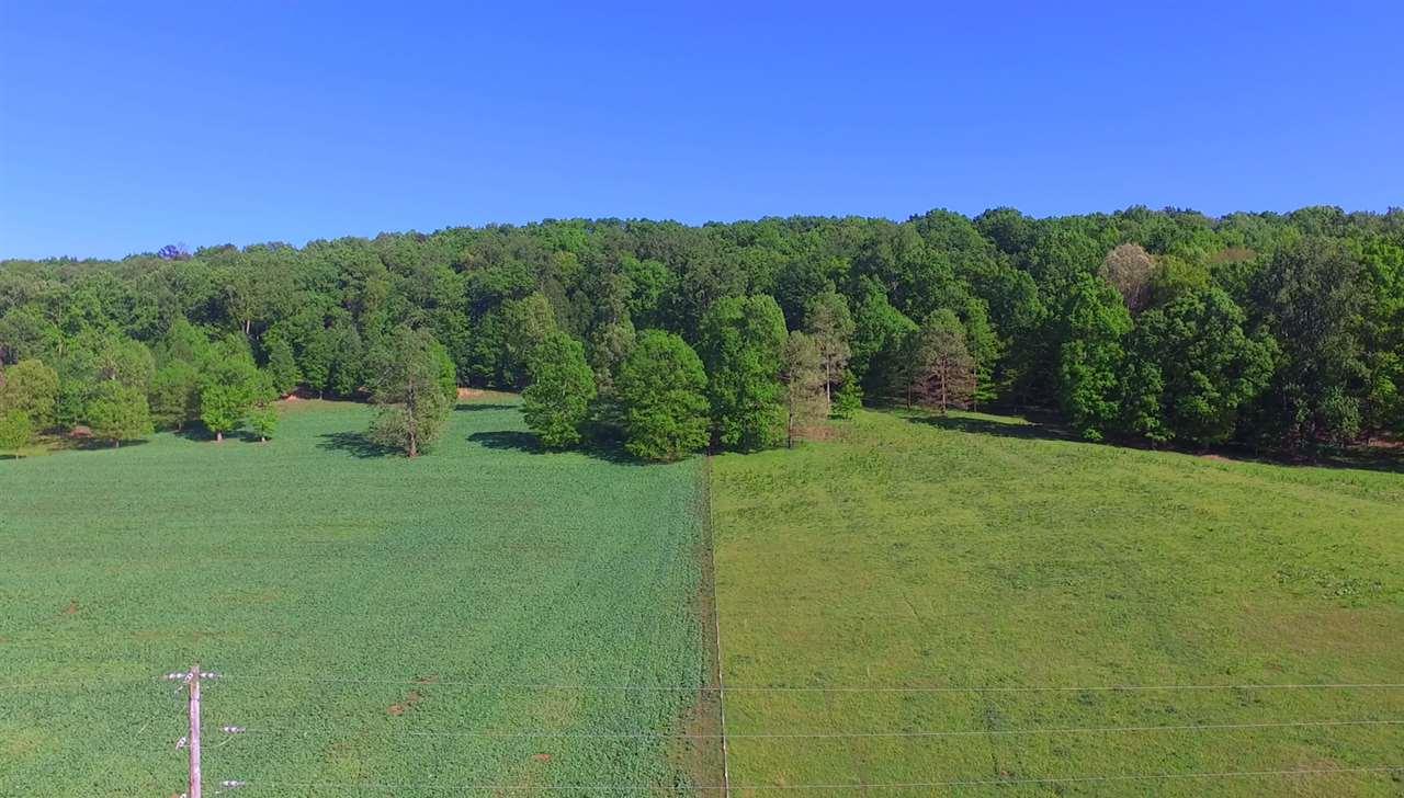 2240 County Road 608 - Photo 1