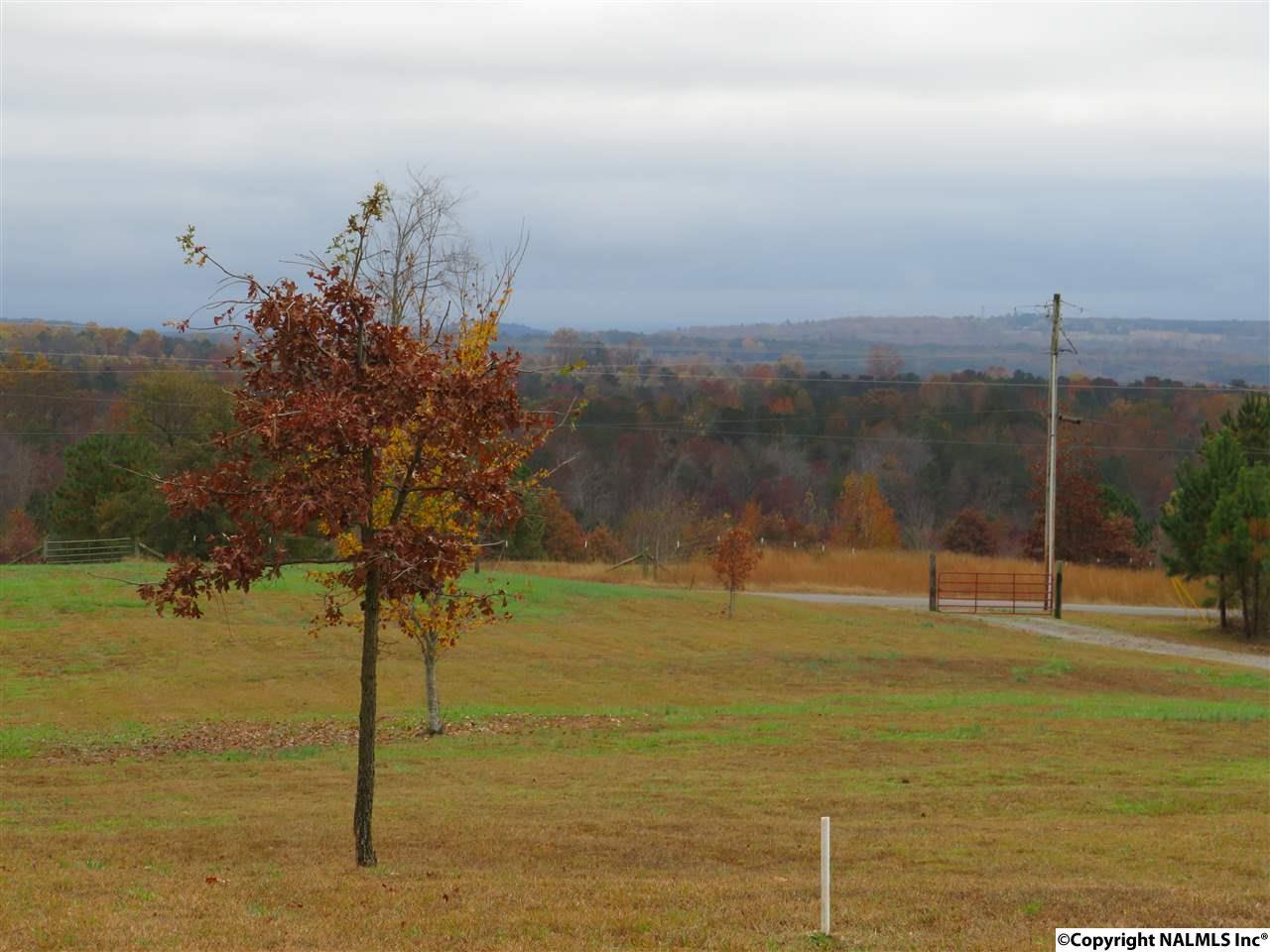 962 County Road 118 - Photo 1