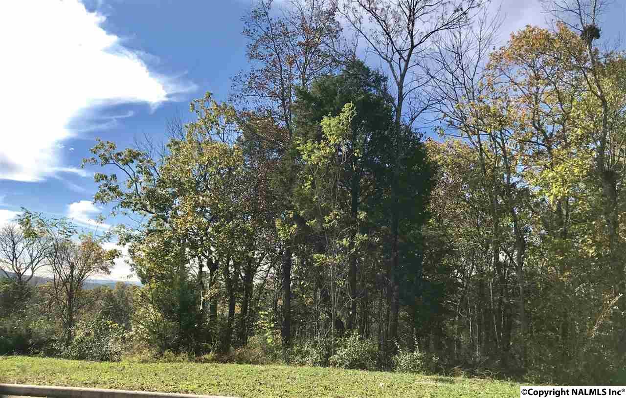 4011 Hawks Way - Photo 1