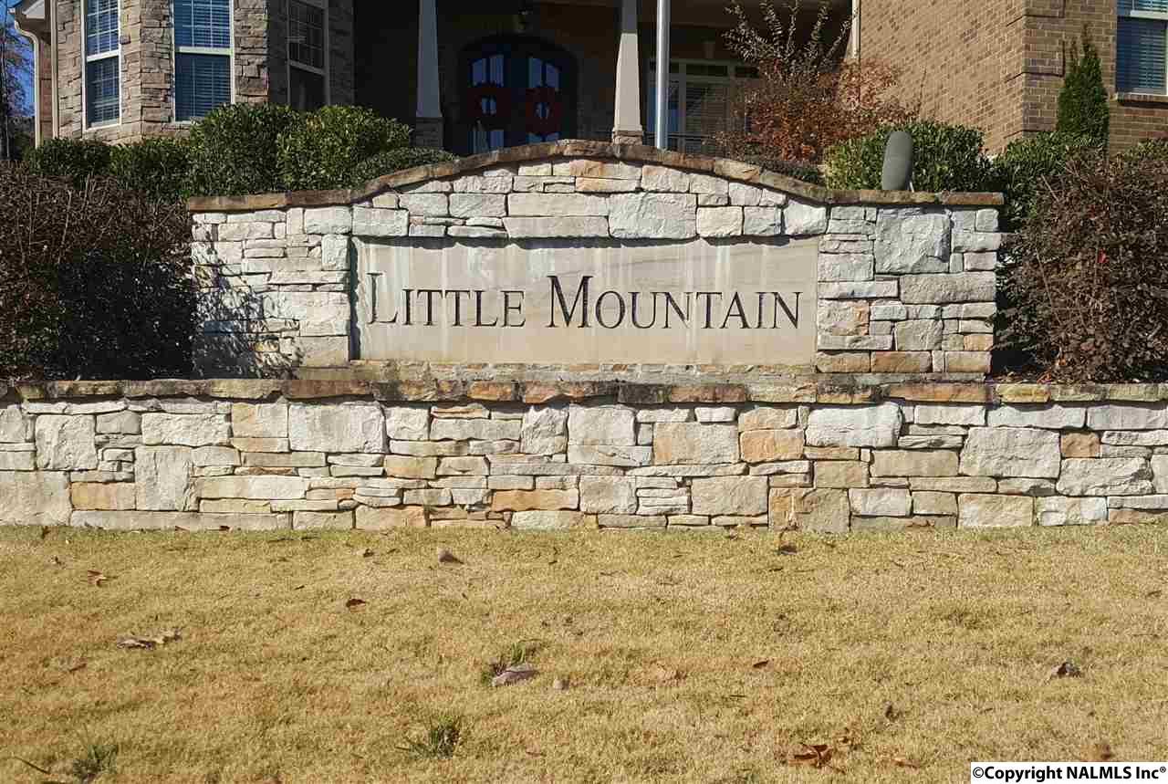 4623 Saddle Ridge Drive - Photo 1