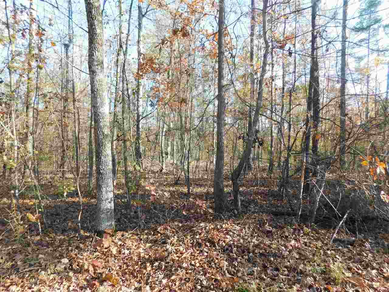 Lot 13 County Road 667 - Photo 1