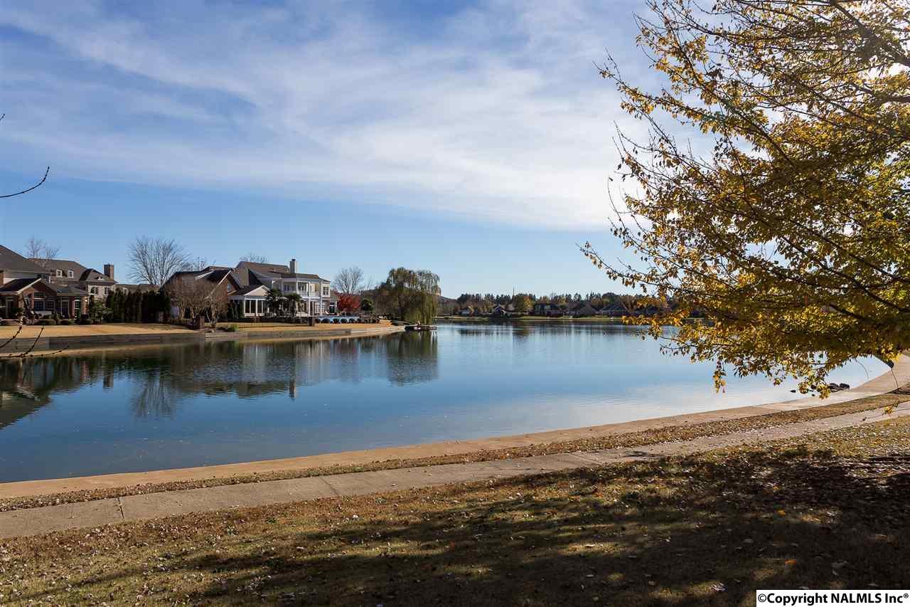 3109 Chamlee Place - Photo 1