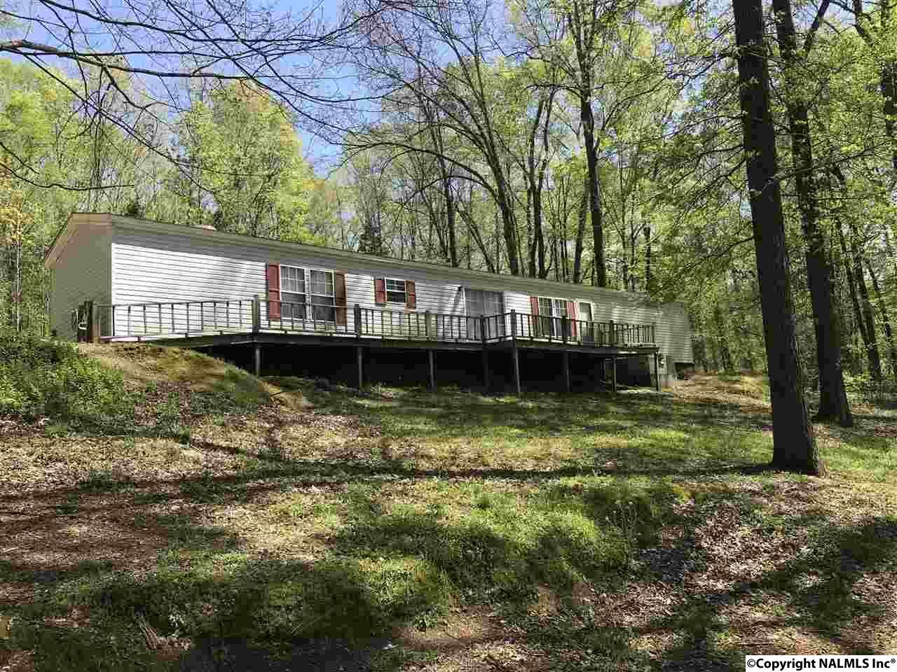 12605 Beech Fork Lane - Photo 1