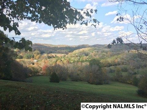 00 Ardmore Ridge Road - Photo 1