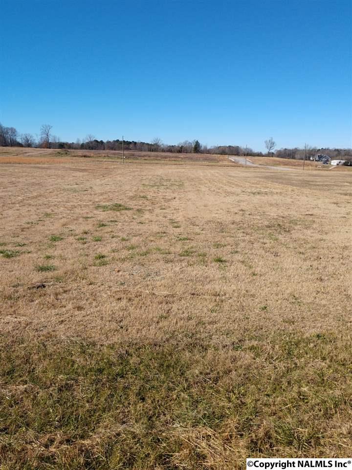 000 Old Vaughn Bridge Road - Photo 1