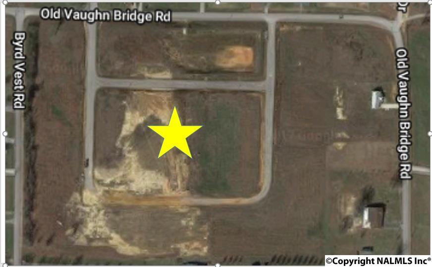0000 Old Vaughn Bridge Road - Photo 1