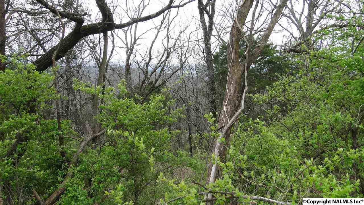 2216 Governors Bend Road - Photo 1