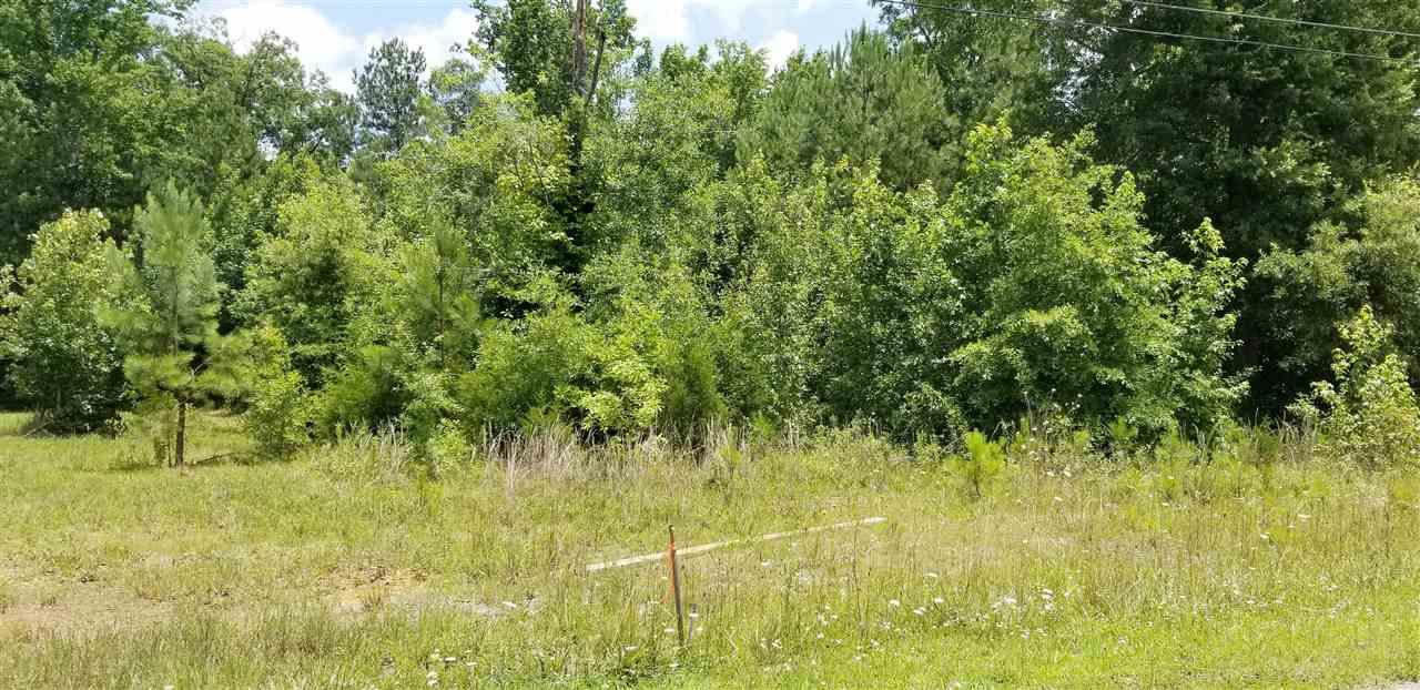 15151 Blake Drive - Photo 1