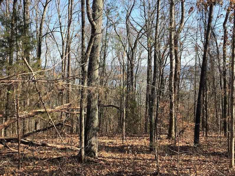 1 Baker Mountain Road - Photo 1