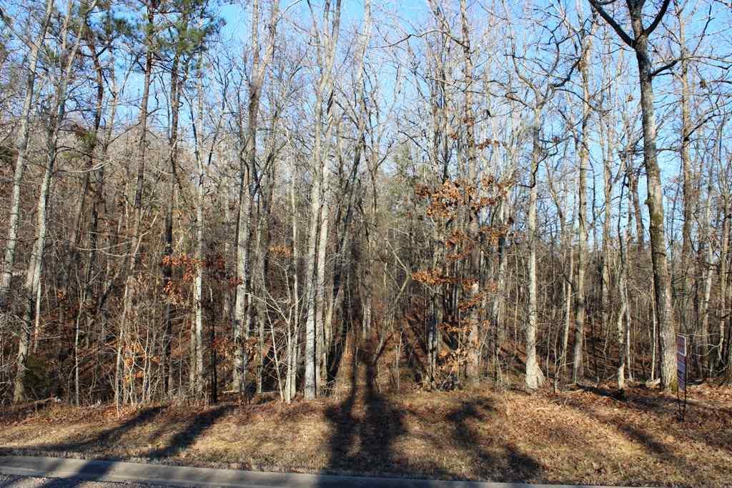 NA Raintree Drive - Photo 1
