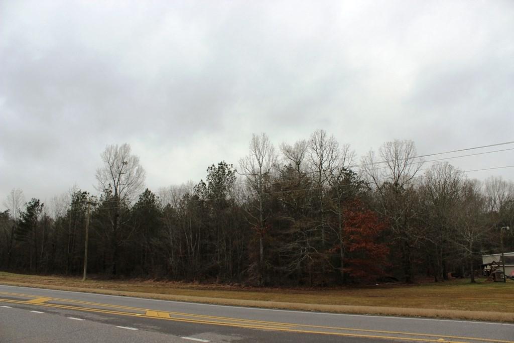 NA Chesnut Bypass - Photo 1