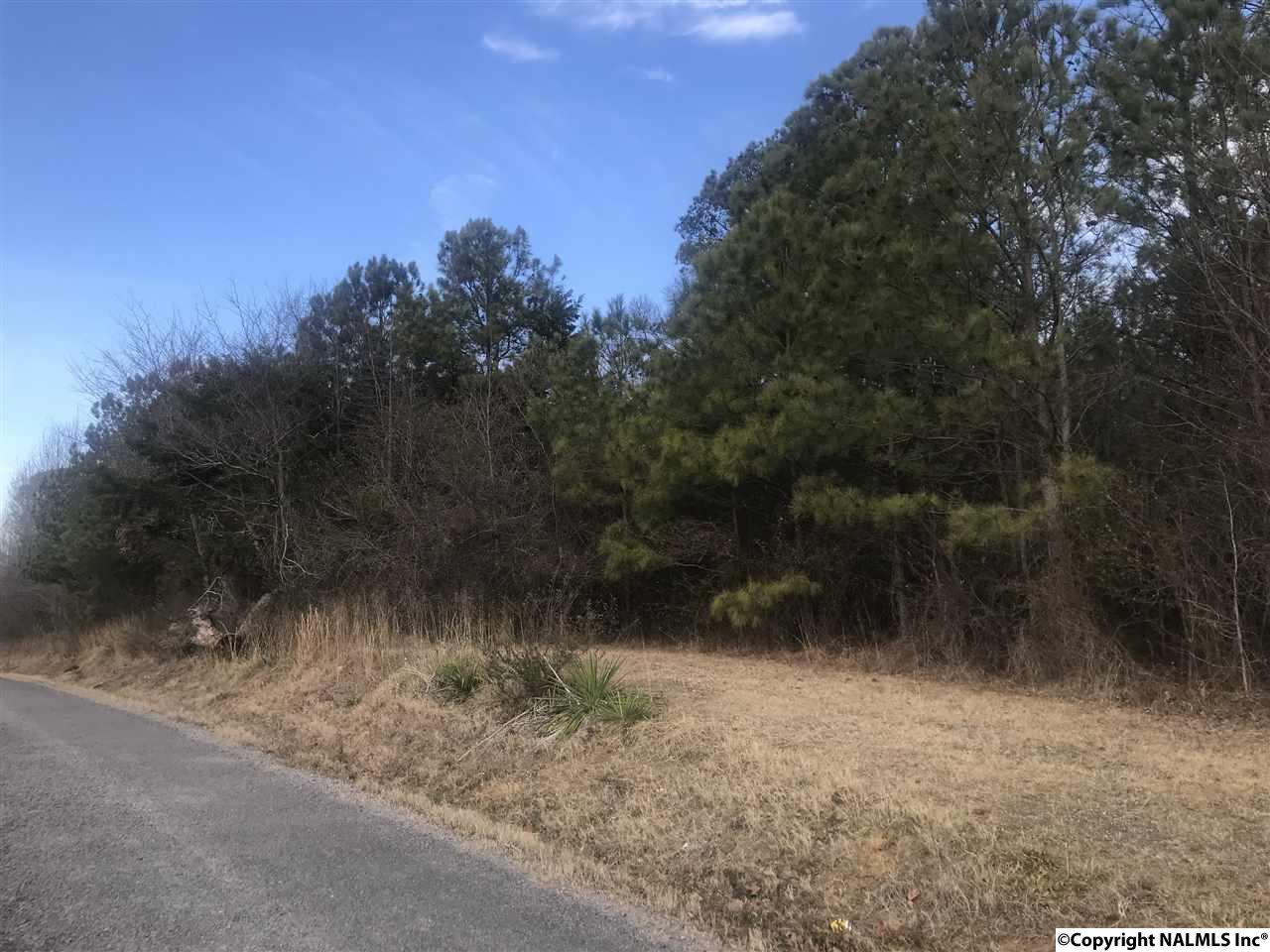 0 County Road 1428 - Photo 1