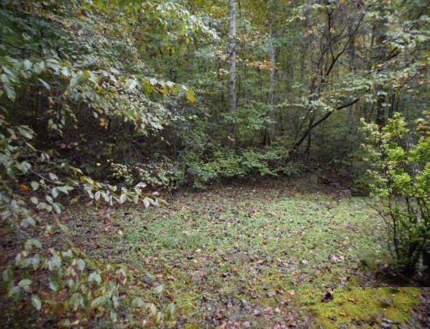 Lot 2 Blk 1 Old Gurley Pike - Photo 1