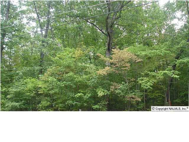 Beech Ridge - Photo 1