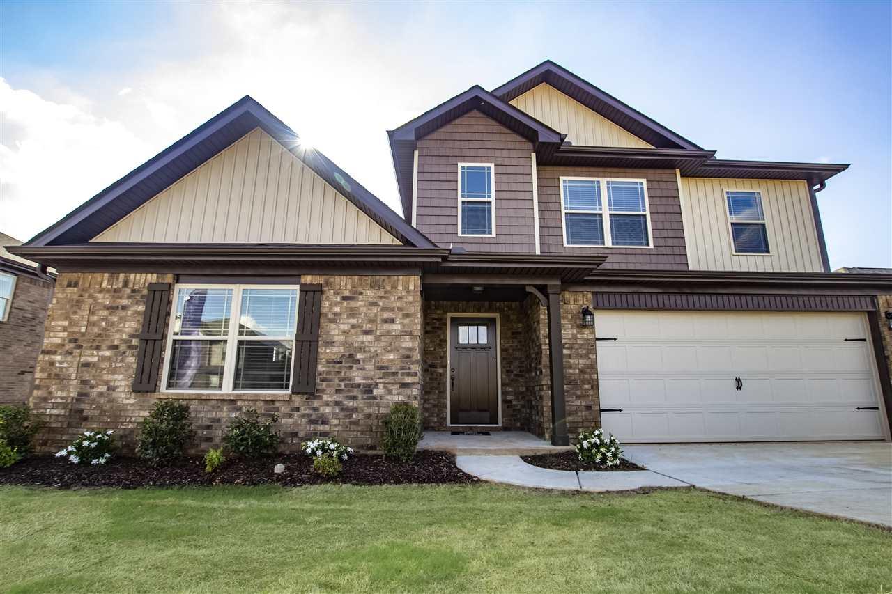 217 Maggie Mance Lane - Photo 1