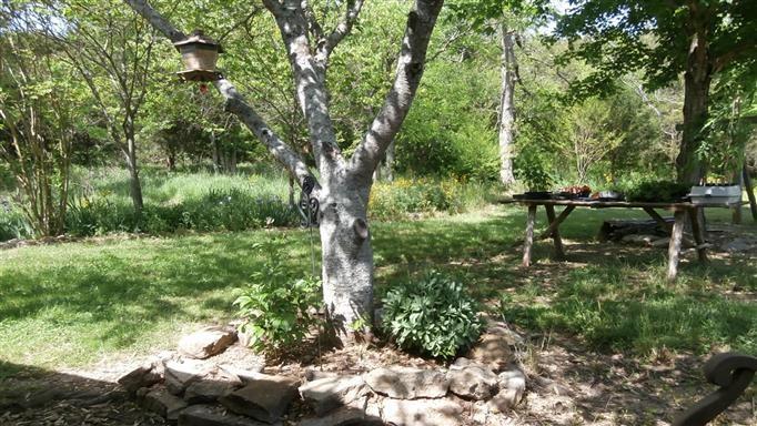 130 Wagoner Hill Road - Photo 1