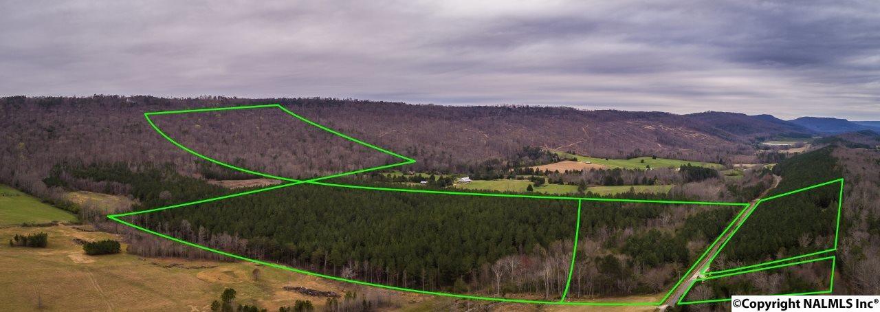 000 County Road 611 - Photo 1