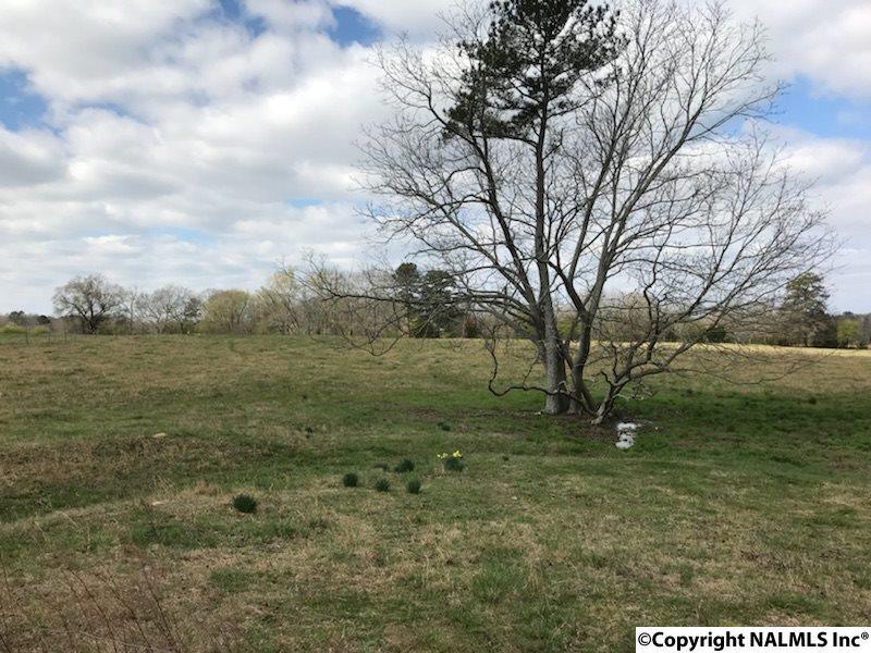 1655 Thomason Road - Photo 1