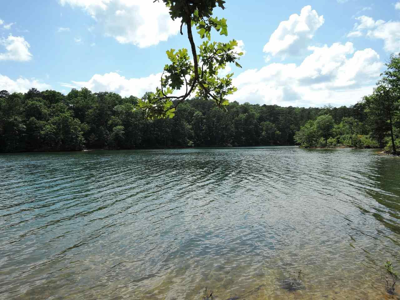 Edgewater Bend - Photo 1