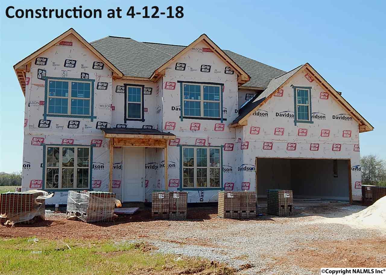 118 Colony Cove Drive - Photo 1