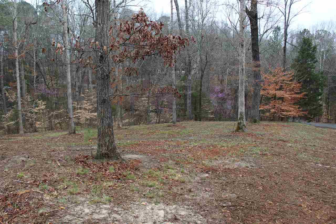 0 Wildwood Way - Photo 1