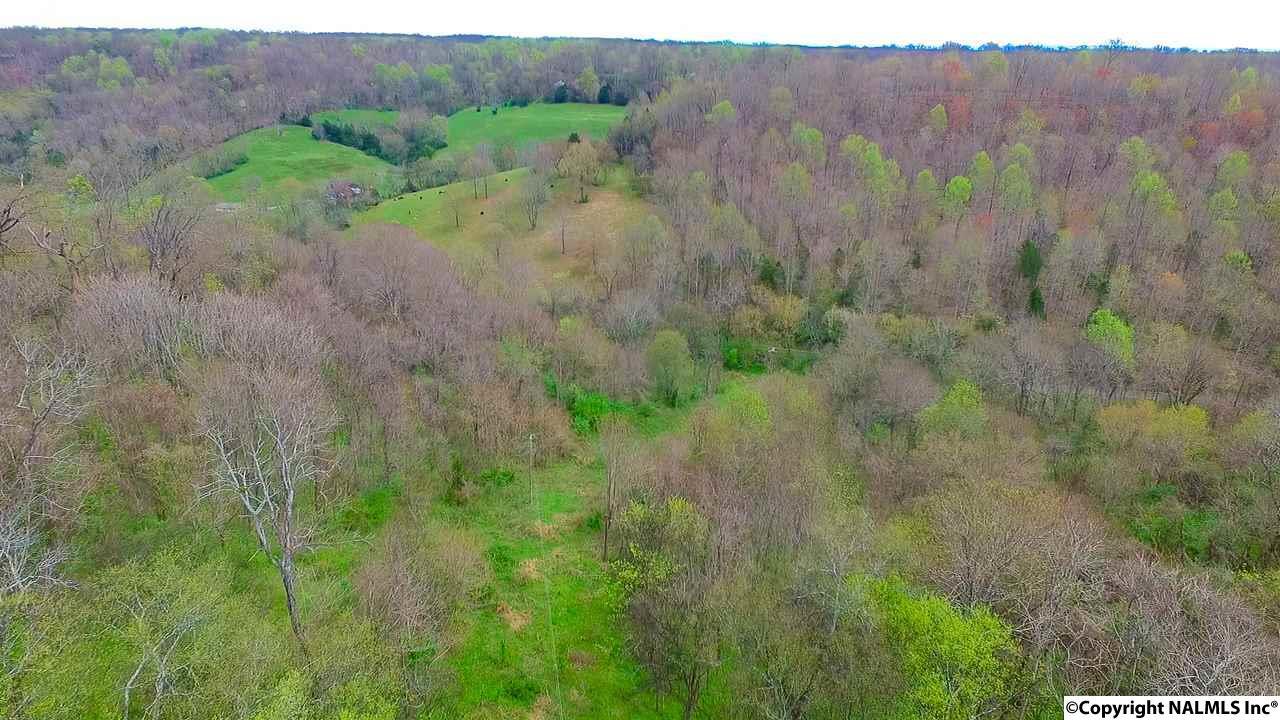 544 Spencer Ridge Road - Photo 1