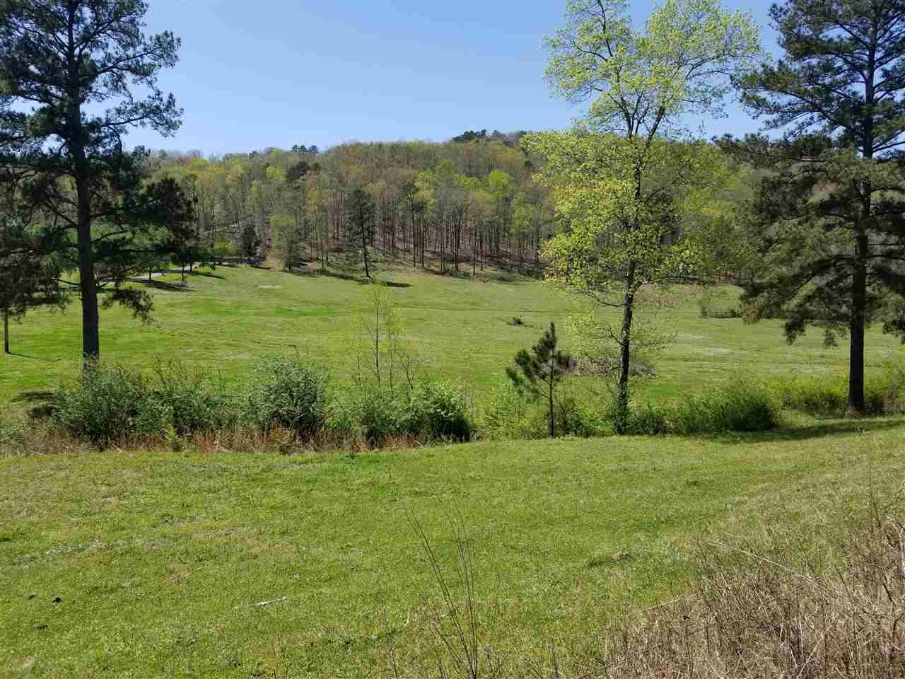 0 County Road 813 - Photo 1