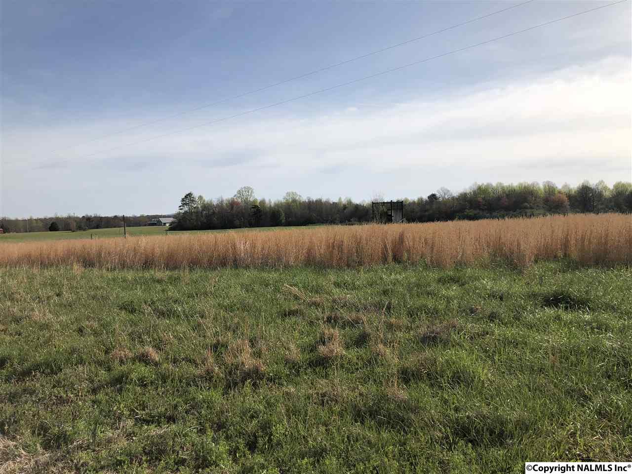 3038 County Road 667 - Photo 1