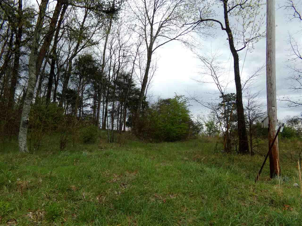 County Road 1009 - Photo 1