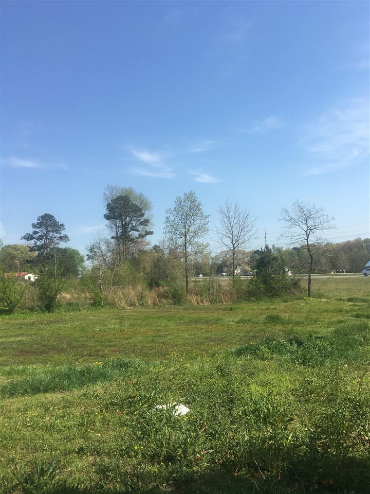 0 Alabama Hwy 157 - Photo 1